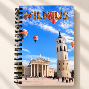 Tiesus Vilniaus užrašų knygelės kadras
